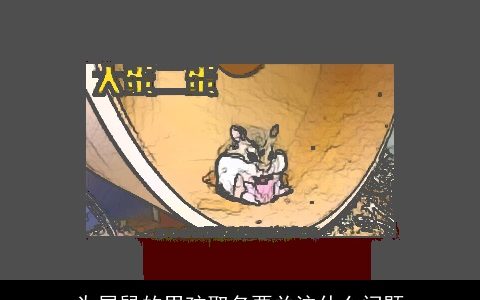 为属鼠的男孩取名要关注什么问题