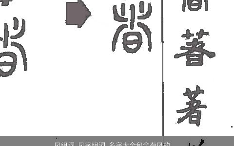 凤组词 凤字组词 名字大全包含有凤的词语成语 洋气有内涵的成语名字大全精选