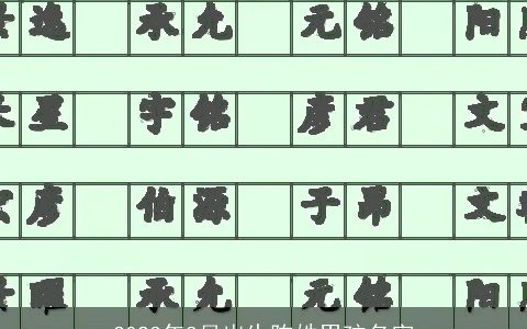 2024年8月出生陈姓男孩名字