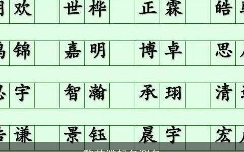 黎芸缆起名测名