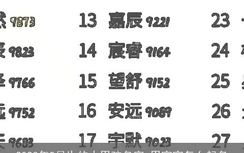 2024年5月生的小男孩名字 男宝宝怎么起名