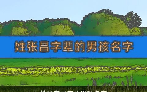 姓张带司字的男孩名字