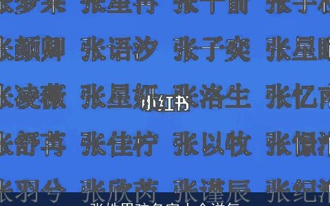 张姓男孩名字大全洋气