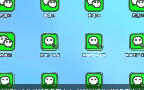 网络软件公司起名名字大全 2024网络公司取名字大全