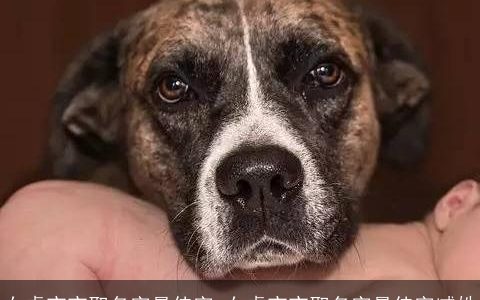 女虎宝宝取名字最佳字 女虎宝宝取名字最佳字臧姓