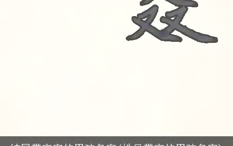 结尾带宇字的男孩名字(姓吴带宇的男孩名字)