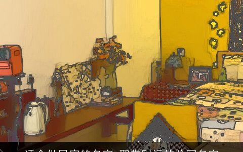 适合做民宿的名字 取带财运的公司名字