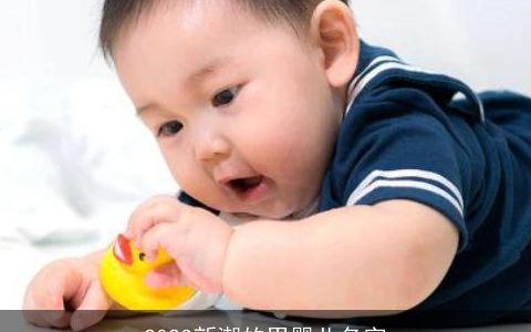 2023新潮的男婴儿名字