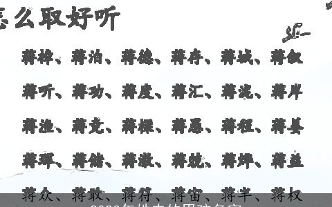 2023年姓史的男孩名字