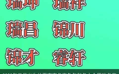 2024年三月出生的男宝宝名字兔年起名大全男孩名字