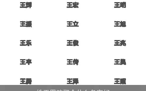 姓王男孩取个什么名字好