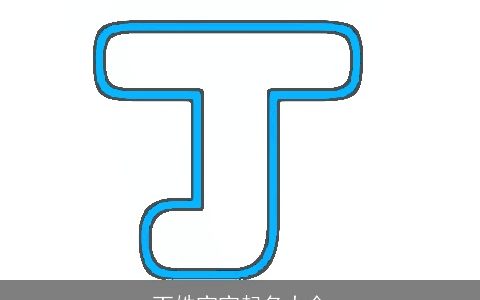 丁姓宝宝起名大全