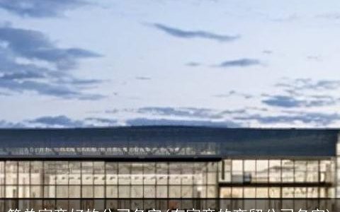 简单寓意好的公司名字(有寓意的商贸公司名字)