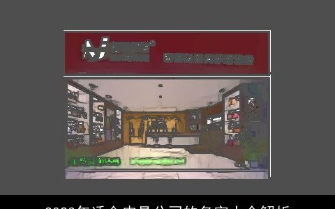 2023年适合皮具公司的名字大全解析