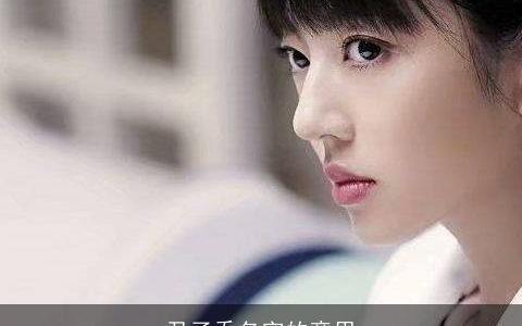 尹子乔名字的意思