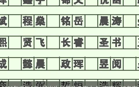 2024年农历8月3日出生的男孩名字大全 宝宝的好名字