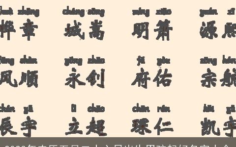 2023年农历五月二十六日出生男孩起好名字大全