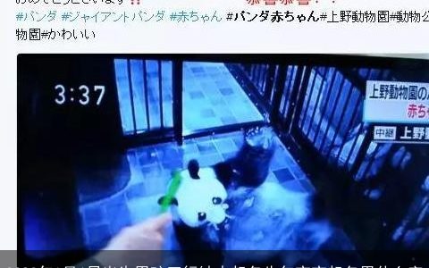 2023年1月6日出生男孩五行缺火起名牛年宝宝起名用什么字