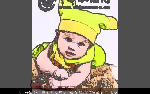 2024兔宝宝最火乳名男孩 兔年简单洋气的孩子小名大全分享 简单洋气的兔宝宝乳名男孩虎小名名字大全精选