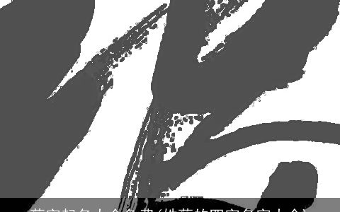 蔡字起名大全免费(姓蔡的四字名字大全)