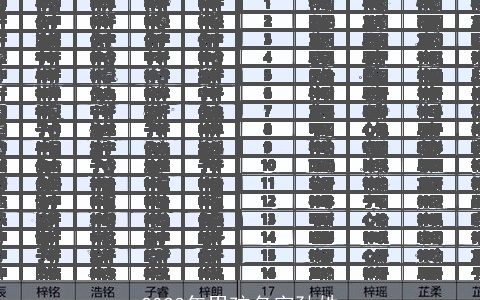 2023年男孩名字孙姓