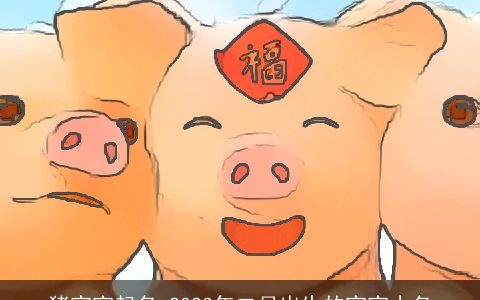 猪宝宝起名 2024年二月出生的宝宝小名