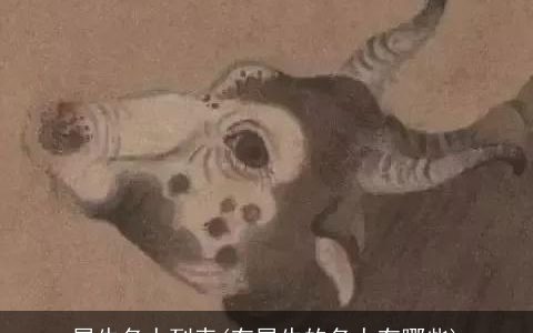 属牛名人列表(有属牛的名人有哪些)