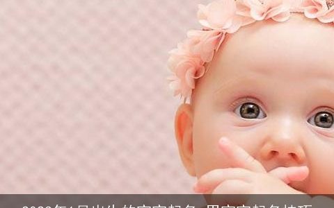 2023年1月出生的宝宝起名 男宝宝起名技巧