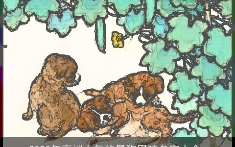 2024年高端大气的属狗男孩名字大全_