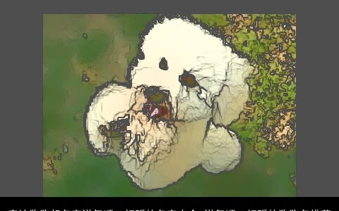 泰迪狗狗起名字洋气顺口好听的名字大全 洋气顺口好听的狗狗名推荐