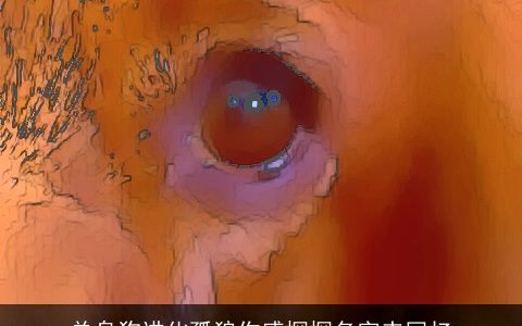 单身狗进化孤狼伤感探探名字来回忆