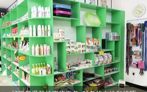 好听又温馨的宠物店名 起名的方法和技巧