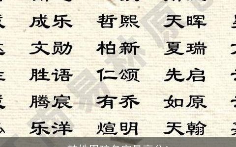 韩姓男孩名字最高分1
