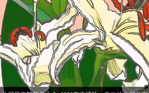 公司员工取花名大全 2024有内涵独一无二的公司名字