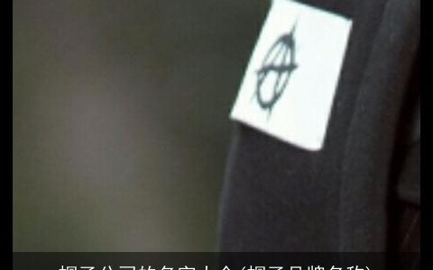 帽子公司的名字大全(帽子品牌名称)