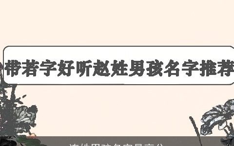 连姓男孩名字最高分