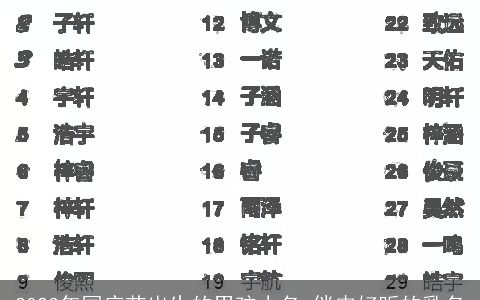 2023年国庆节出生的男孩小名 俏皮好听的乳名