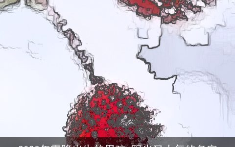 2024年霜降出生的男孩 阳光又大气的名字