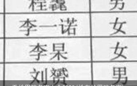 孔姓男孩名字大全2024(姓左的男孩名字)