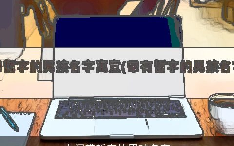 中间带哲字的男孩名字