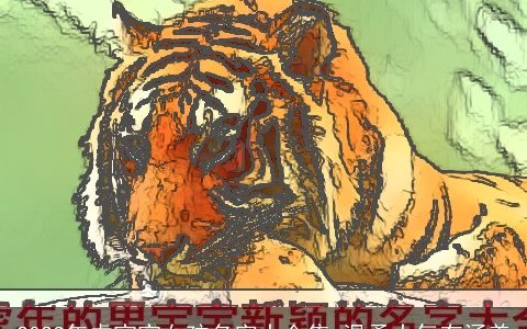 2023年虎宝宝女孩名字大合集 温柔大气有涵养