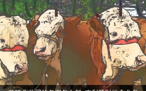 养殖业公司的名字怎么起 吉利旺财运企业名