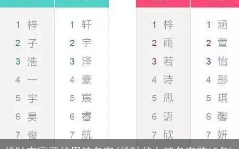 姓叶有寓意的男孩名字(姓叶的女孩名字前10名)