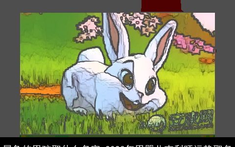 属兔的男孩取什么名字 2023年男婴儿吉利旺运势取名