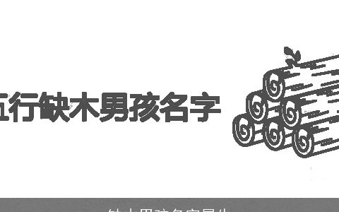 缺木男孩名字属牛