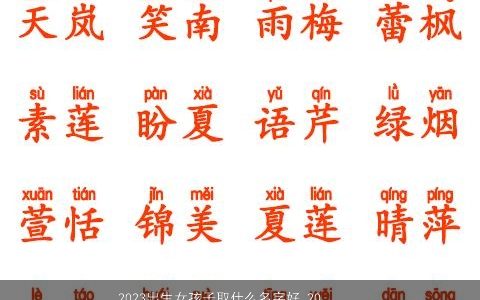 2024出生女孩子取什么名字好 2024起名大全字女孩 的女孩名字大全最新