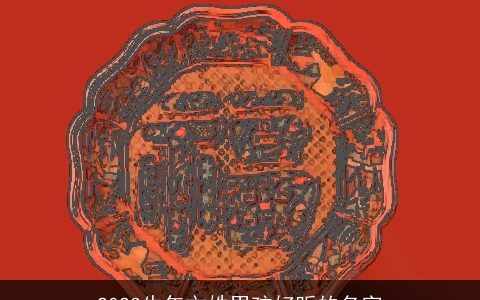 2023牛年文姓男孩好听的名字