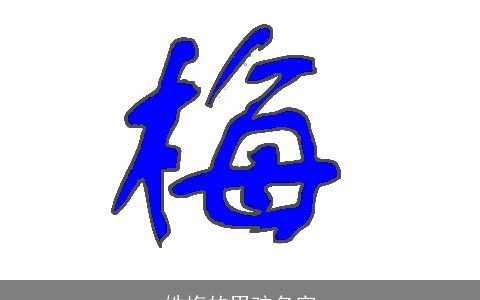 姓梅的男孩名字