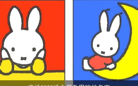 房姓2024适合属兔男孩的名字