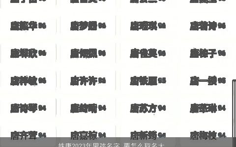 姓唐2024年男孩名字 要怎么取名大全字好听 洋气好听的唐姓男孩名字精挑